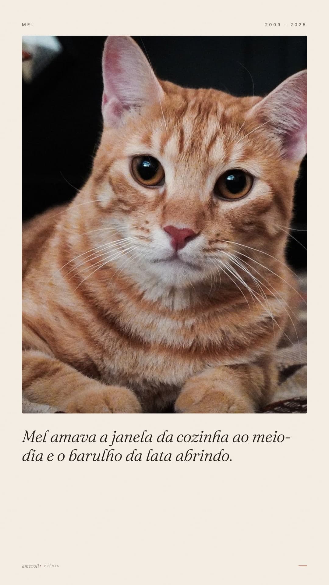 Exemplo feito com fotos licenciadas, não com fotos de clientes. · Cards para Stories