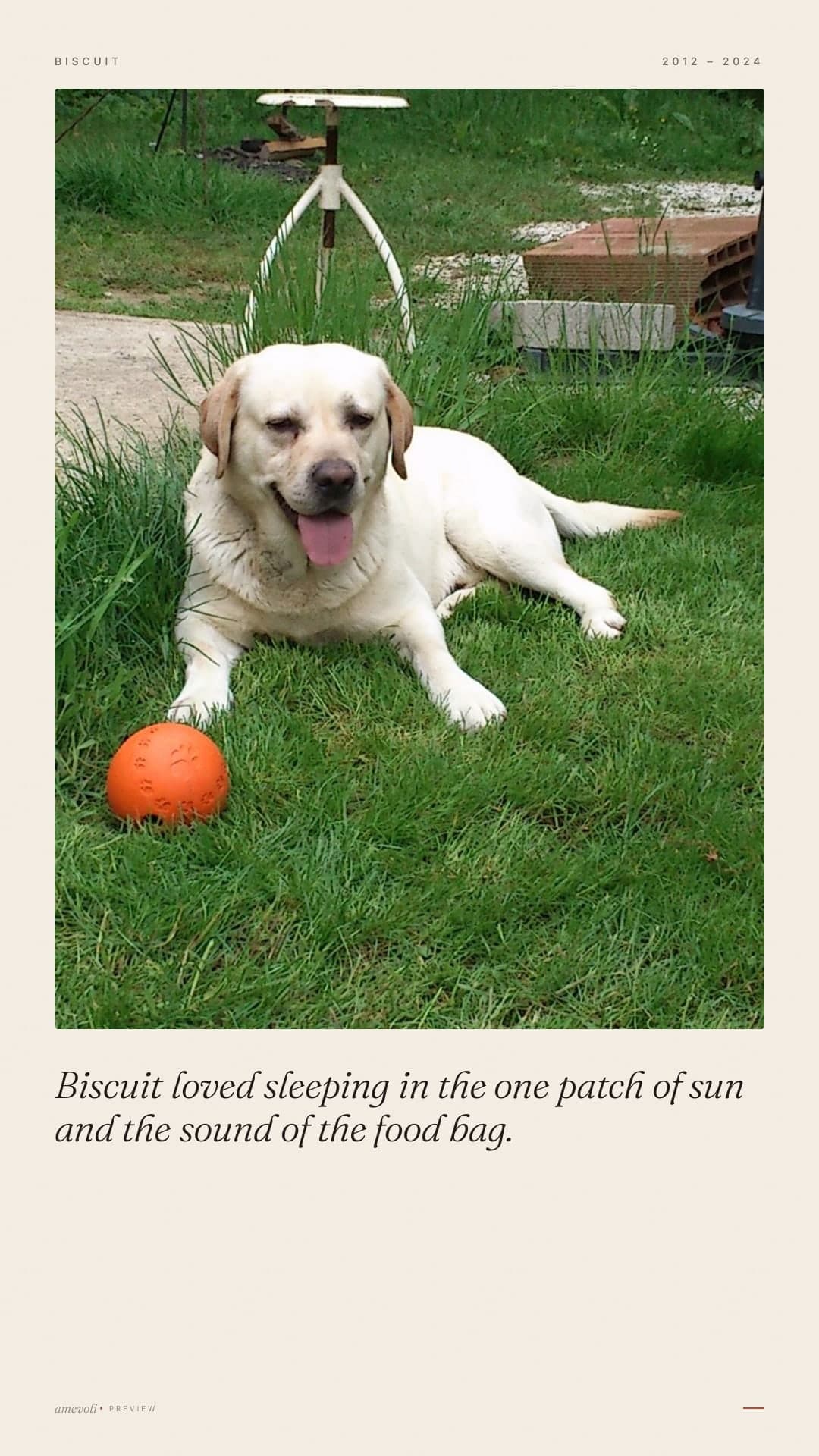 Example made with licensed photos, not customer photos. · Story cards