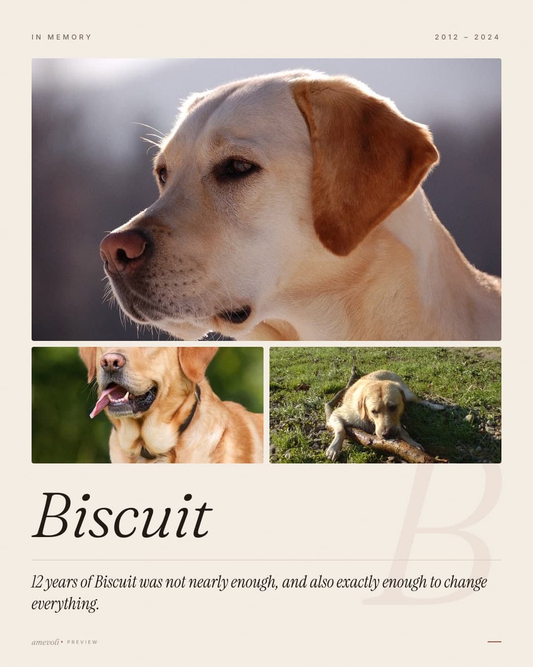 Example made with licensed photos, not customer photos. · Tribute poster