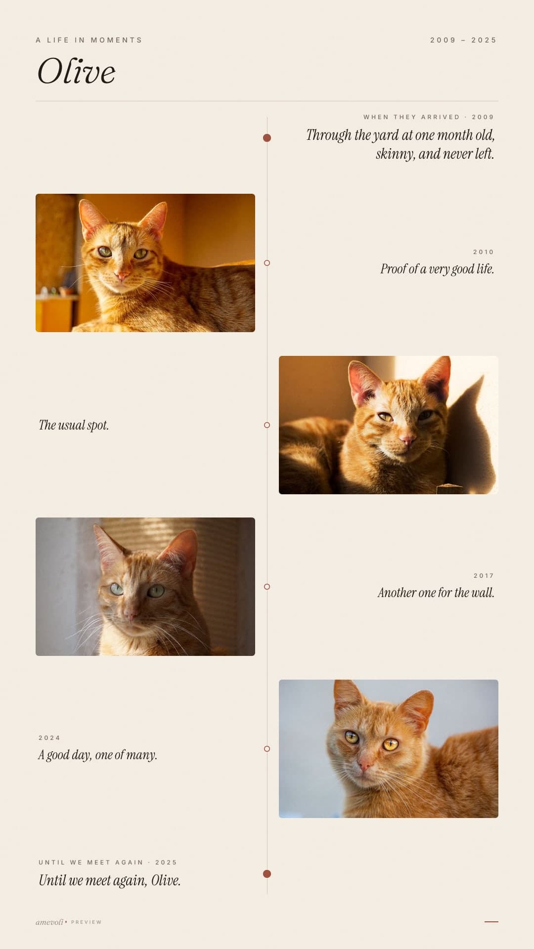 Example made with licensed photos, not customer photos. · A life in moments