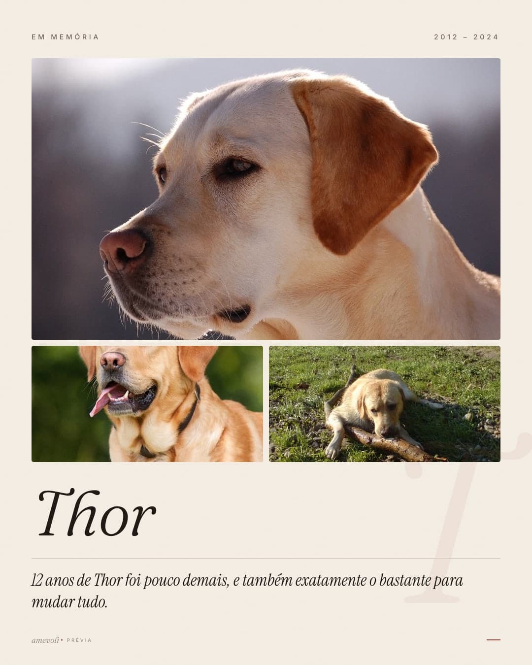 Exemplo feito com fotos licenciadas, não com fotos de clientes.